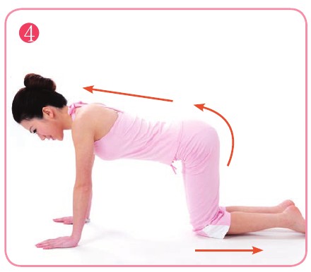 五式瘦腹減肥操 強(qiáng)身又瘦身