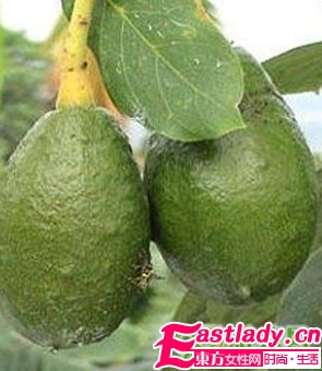 民間秘傳的3大豐胸圣果