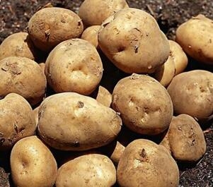 晚上吃什么不會胖？六種食物讓你安心吃晚餐