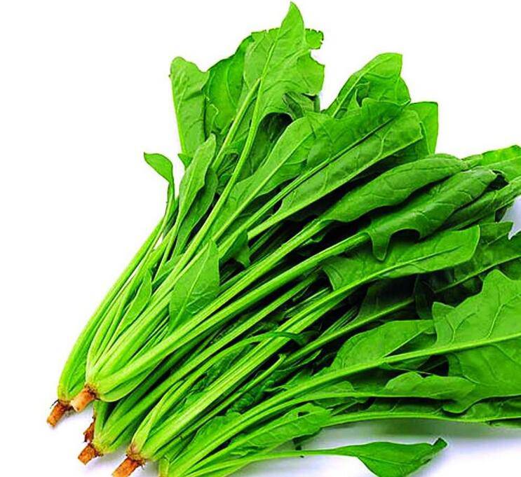 春季吃什么蔬菜可以減肥又美容