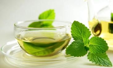 喝綠茶能減肥嗎？綠茶減肥的步驟