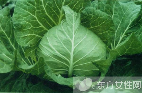 減肥食品有哪些 最佳減肥食物大盤點(diǎn)