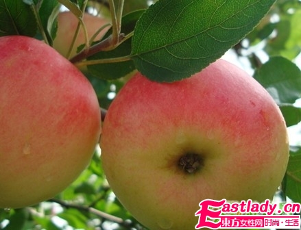 吃掉腹部贅肉的7大食物