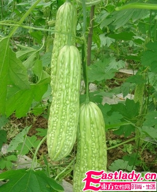 越吃越瘦的8大減肥食物