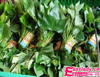 越吃越瘦的8大減肥食物