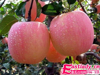 清腸減肥的五個絕招