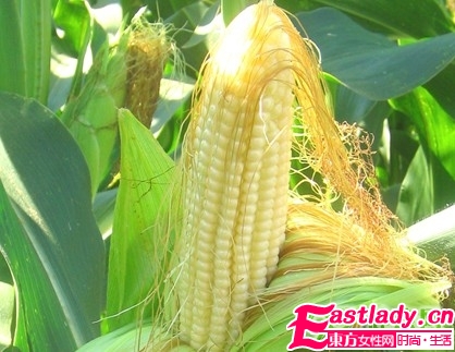 苗條身材 冬季減肥的食物大全