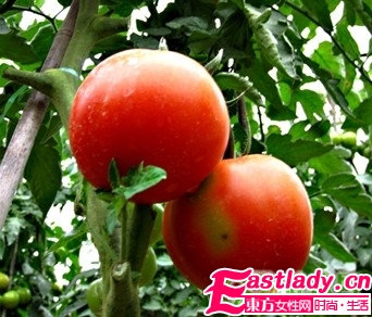 夏季最能減肥的9大蔬果