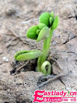 這15種食物吸光你的脂肪