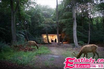 世外桃源般豪宅 精致木屋別有情調(diào)