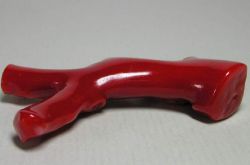 紅珊瑚的5大作用 7個(gè)小技巧鑒別真假紅珊瑚