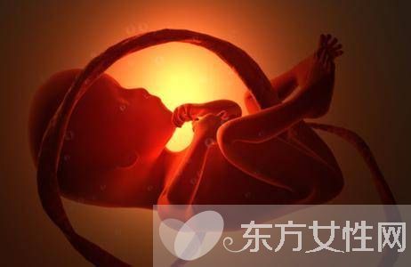 胎兒幾周入盆 胎兒發(fā)育標準表