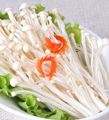 夏季多吃菌類 寶寶營養(yǎng)健康又聰明