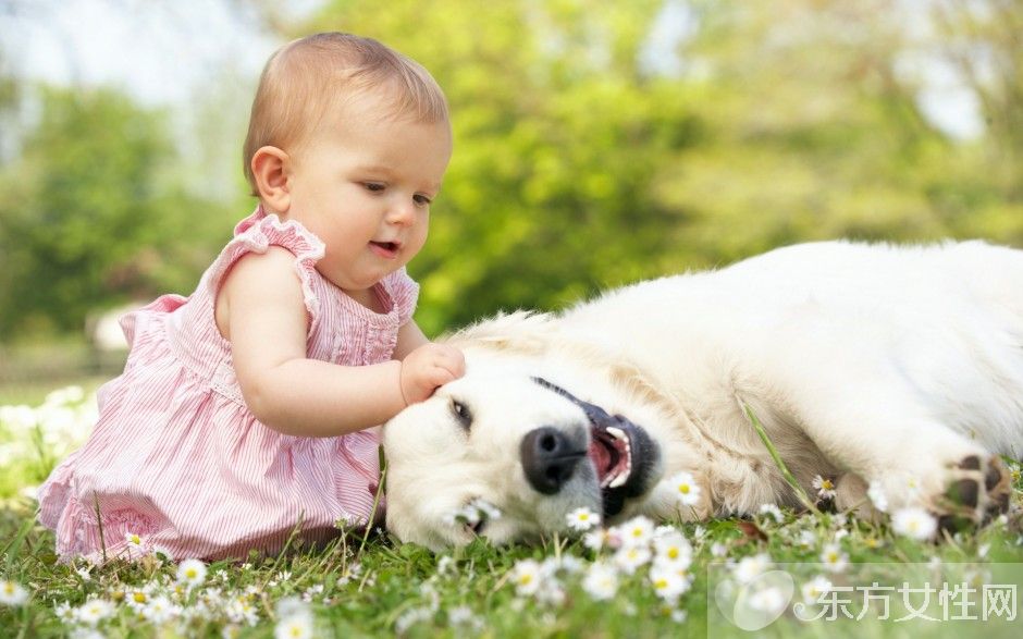 孩子貧血有什么癥狀 孩子貧血就吃這八種食物