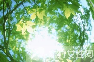 寶寶零食知多少 健康小零食原來這樣簡單