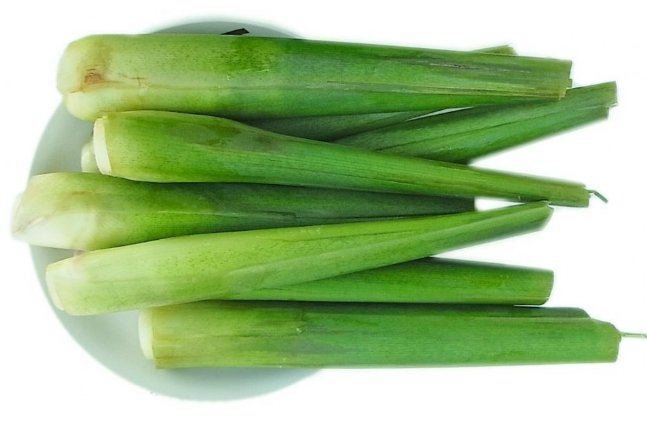 產后催乳的食譜有哪些 5個竅門輕松搞定