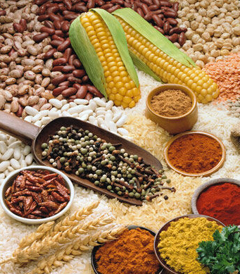 自閉癥的表現(xiàn) 兒童自閉癥吃什么好