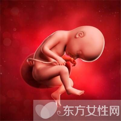 胎兒幾周入盆 胎兒發(fā)育標準表