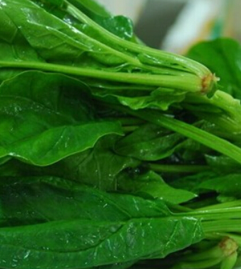 春天流行病的預(yù)防 溫暖春天謹(jǐn)防五類疾病