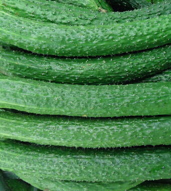 兒童飲食與健康 秋季寶寶吃什么