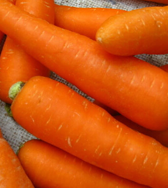 胡蘿卜的功效與作用 有助于寶寶健康成長(zhǎng)