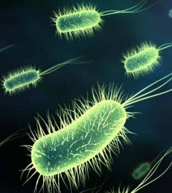 春天流行病的預(yù)防 溫暖春天謹(jǐn)防五類疾病