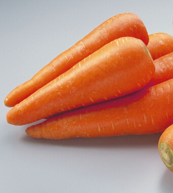 胡蘿卜的功效與作用 有助于寶寶健康成長(zhǎng)