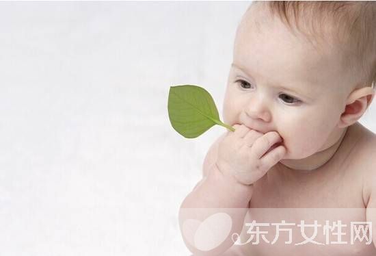 嬰兒濕疹最佳治療方法 這么做可有效預防嬰兒濕疹哦