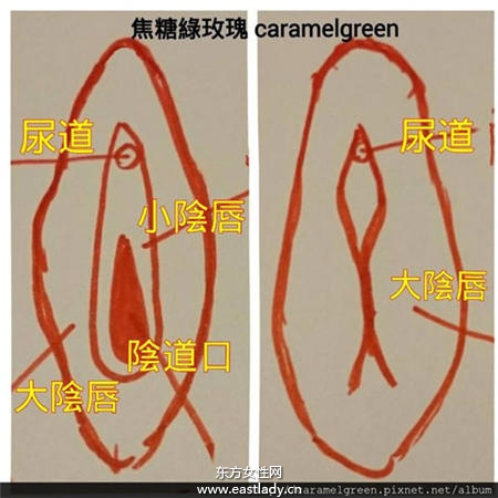 寶寶陰部沾黏發(fā)痛原來是它惹的禍