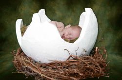 寶寶濕疹可喝菊花茶嗎 6個小偏方幫你搞定濕疹