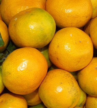 寶寶咳嗽怎么辦 寶寶咳嗽要注意8大飲食禁忌