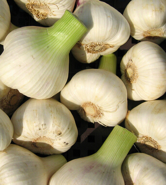 小兒咳嗽 有效治療偏方