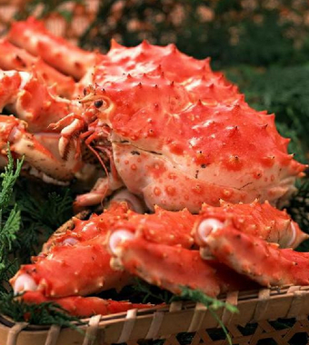 懷孕初期應(yīng)注意什么 懷孕初期飲食禁忌