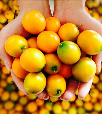 咳嗽吃什么好的快 孕期咳嗽飲食偏方