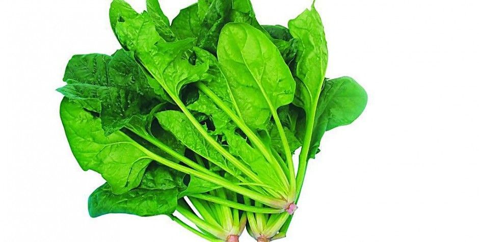 孕婦能吃枇杷嗎 孕婦千萬不能吃的食物有哪些