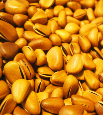 懷孕初期吃什么好 孕期吃什么堅(jiān)果好