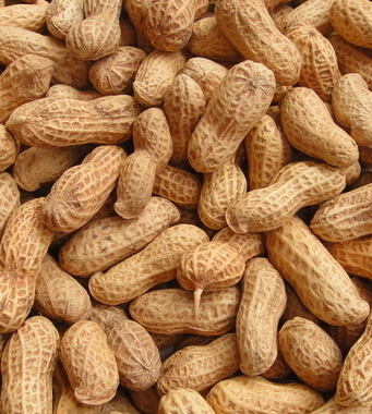 懷孕初期吃什么好 孕期吃什么堅(jiān)果好