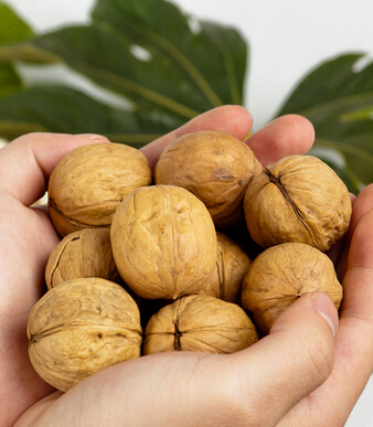 超級育兒師 最好的胎教方法