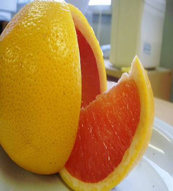 孕婦秋季吃什么水果好  吃梨清熱降壓