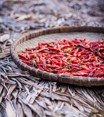 坐月子注意事項 秋季如何坐月子