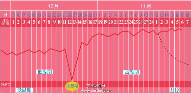 女性排卵期是什么時候