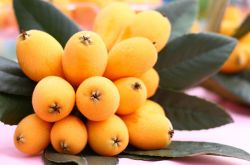 孕婦能吃枇杷嗎 孕婦千萬不能吃的食物有哪些