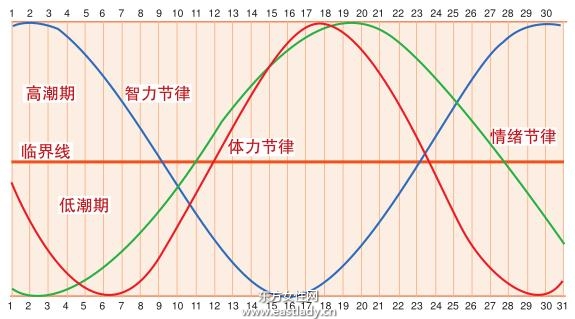 人體節(jié)律與生男育女息息相關(guān)