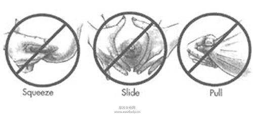 徒手擠奶的說明及圖示 擠出的奶水如何儲存