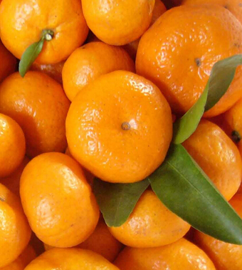 孕婦吃什么水果好 適合孕婦的好水果