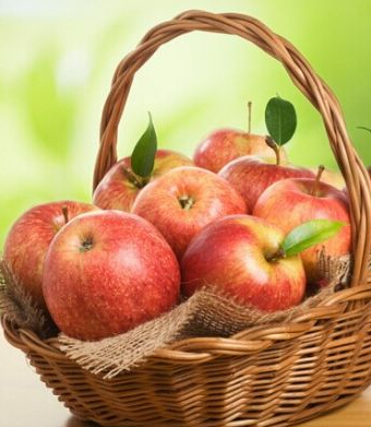 快樂孕期 孕婦孕期飲食保健