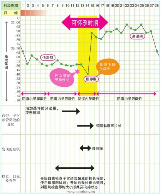 選擇生女孩的計劃表