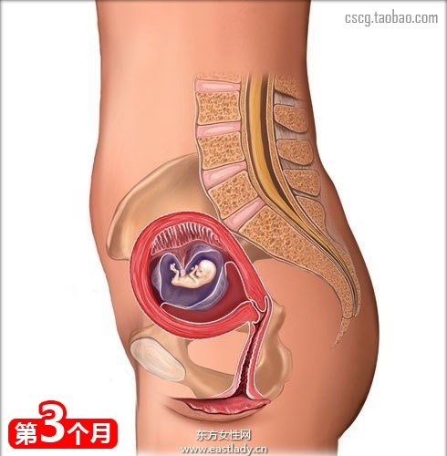 網(wǎng)上最全的懷孕育兒常識