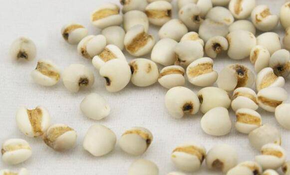 中醫(yī)減肥最好的方法 不反彈還美容