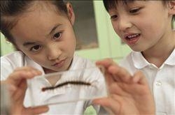 怎樣培養(yǎng)孩子的學習興趣 讓孩子主動學習